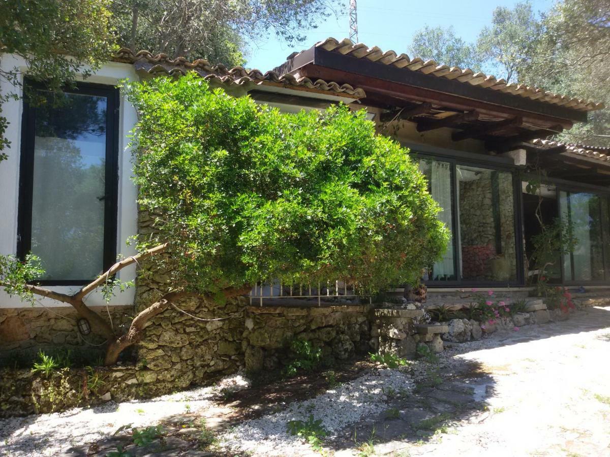 Villa Limonaia In Salento Marittima Exterior foto